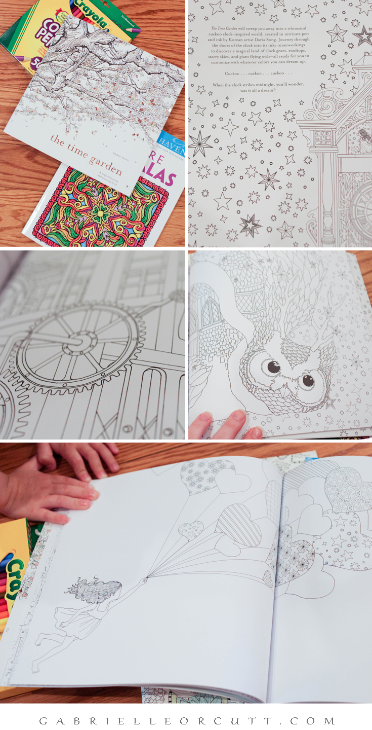 coloring book the time garden adult coloring